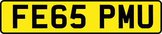 FE65PMU