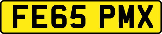 FE65PMX