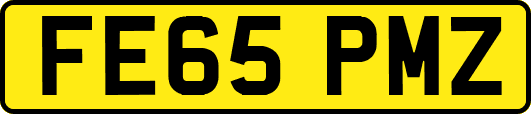 FE65PMZ