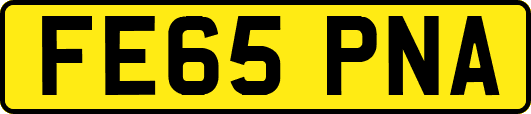 FE65PNA