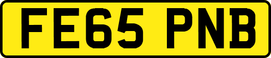 FE65PNB