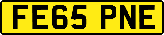 FE65PNE