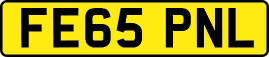 FE65PNL