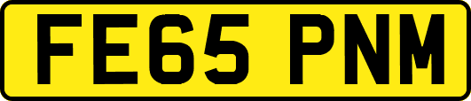 FE65PNM