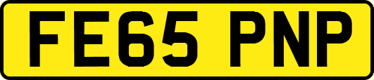 FE65PNP