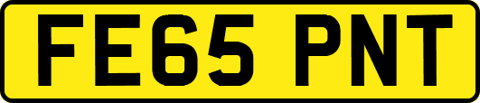 FE65PNT