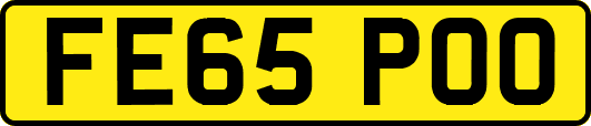 FE65POO