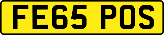 FE65POS