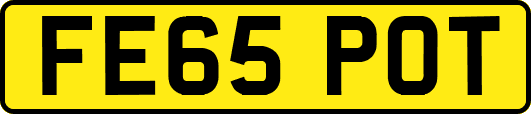 FE65POT