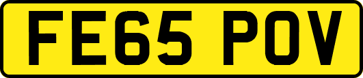 FE65POV