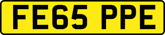 FE65PPE