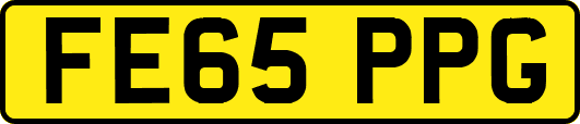 FE65PPG