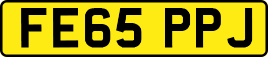 FE65PPJ