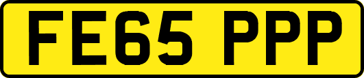 FE65PPP