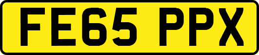 FE65PPX