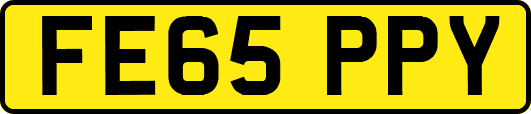FE65PPY