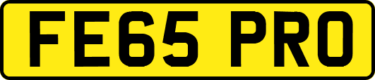 FE65PRO