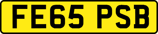 FE65PSB