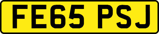 FE65PSJ