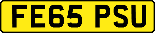 FE65PSU