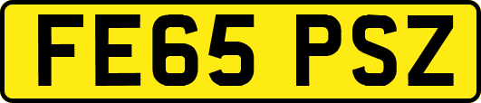 FE65PSZ