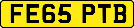 FE65PTB