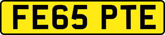 FE65PTE