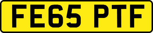 FE65PTF