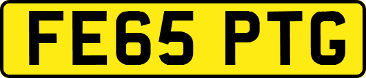 FE65PTG