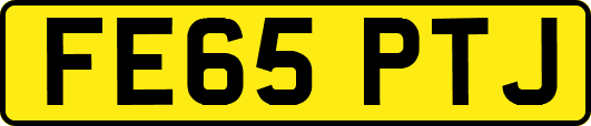 FE65PTJ