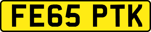 FE65PTK