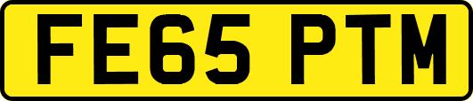 FE65PTM