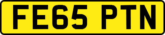 FE65PTN
