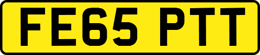FE65PTT