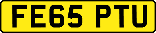 FE65PTU