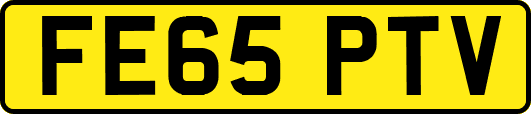 FE65PTV