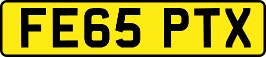 FE65PTX