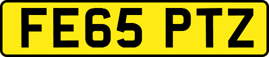FE65PTZ