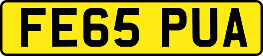 FE65PUA