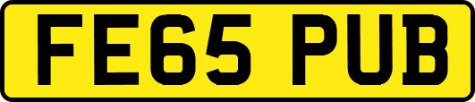 FE65PUB