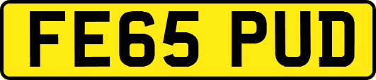 FE65PUD
