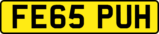 FE65PUH