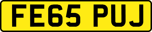 FE65PUJ
