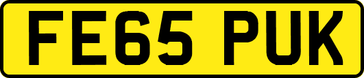 FE65PUK