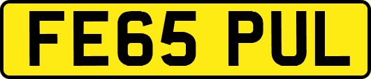 FE65PUL