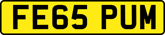FE65PUM