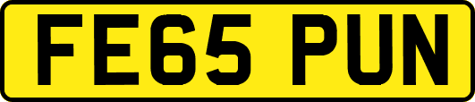 FE65PUN