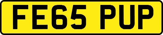 FE65PUP