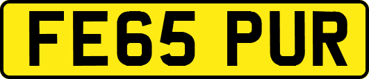 FE65PUR
