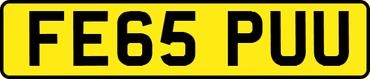 FE65PUU